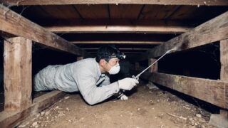 シロアリ予防・対策の相場は４〜６万円（１階床面積５０m2の場合）保証の延長は不要です