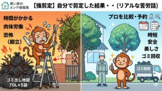 【体験談】庭木シマトネリコの強剪定を自分でやってみた！大満足だけど「プロに頼めばよかった」と痛感した5つの理由